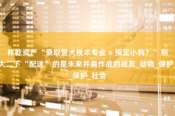 祥乾资产 “录取警犬技术专业 = 预定小狗？” 别急，大二下 “配送” 的是未来并肩作战的战友_动物_保护_社会