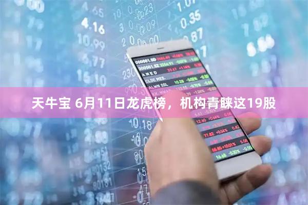 天牛宝 6月11日龙虎榜，机构青睐这19股